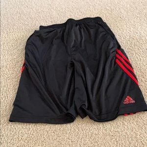 Adidas Shorts
